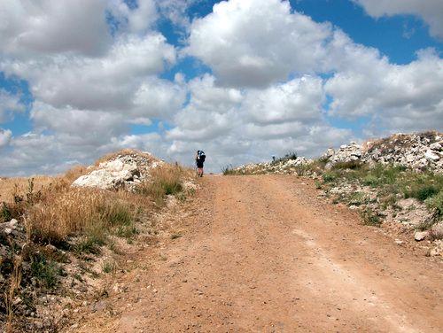 CAMINO DE SANTIAGO
